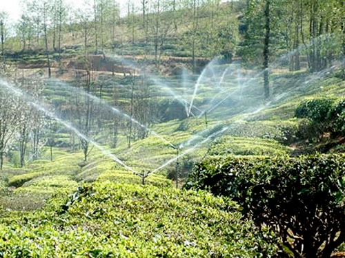 應用案例（lì）